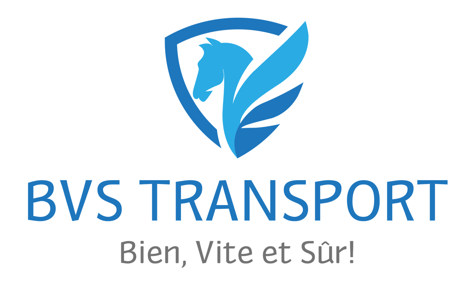 bvstransport.fr